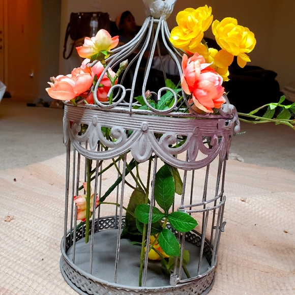 Other - 14in cage with bird on top